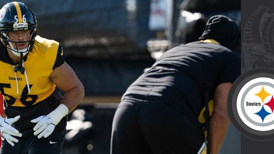Plenty of motivation vs. Browns taken on the South Side (Steelers)
